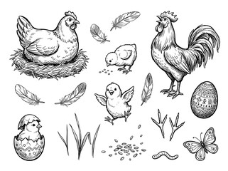 Obraz premium Cartoon doodle of hen, rooster, and baby chick collection on white background for easter
