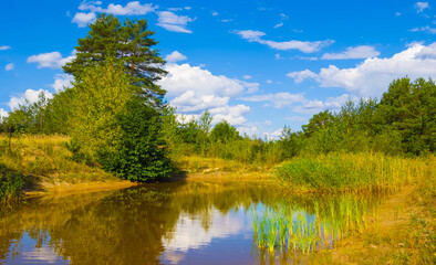 small calm lake among the forest  under a cloudy sky at the bright day © Yuriy Kulik