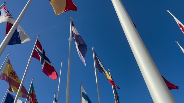 flags in the wind