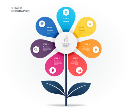 Modern flower growth infographic diagram template background illustration