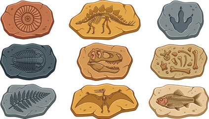 Prehistoric Dinosaur Fossil and Skeleton Imprints Set Embedded in Stone Rocks for Paleontology Graphic Designs © tofajjol studio