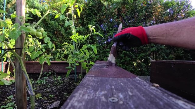 Applying Dark Wood Stain to Raised Garden Bed in Summer