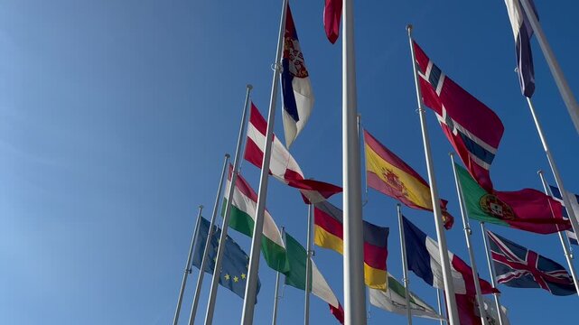 flags of the world