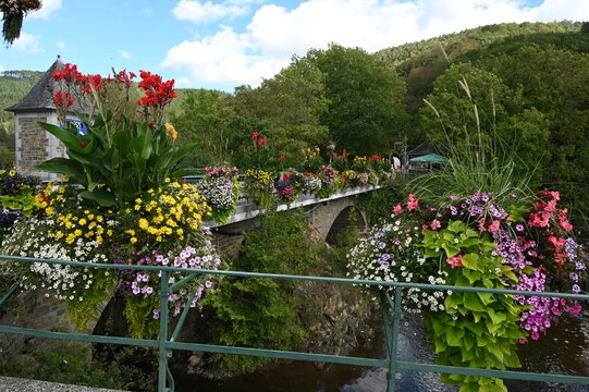 Blumen an einer Br&uuml;cke &uuml;ber die Amel bei Stavelot