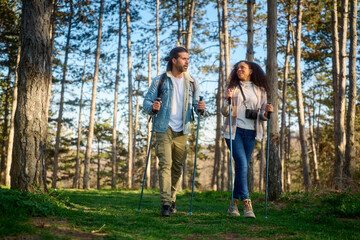 Fototapeta premium Young diverse couple nordic walking with poles, enjoying a leisure hike together through a verdant pine forest, finding adventure and exercise in beautiful nature