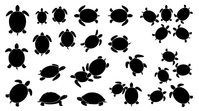 Turtles and tortoises, top view silhouettes