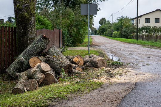 Freshly Cut Tree Logs Piled Beside a Muddy Residential Road