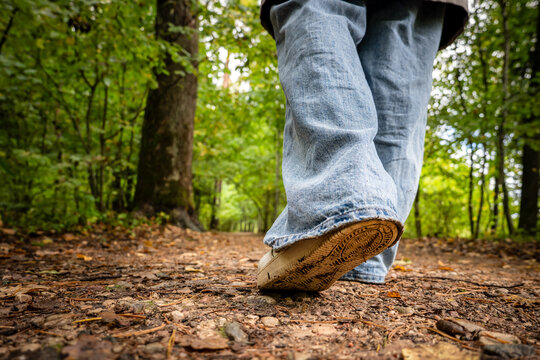 Low-Angle View of a Person Walking Along a Forest Trail