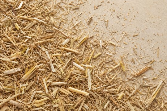 Crop residue biomass background for sustainable biofuel feedstock