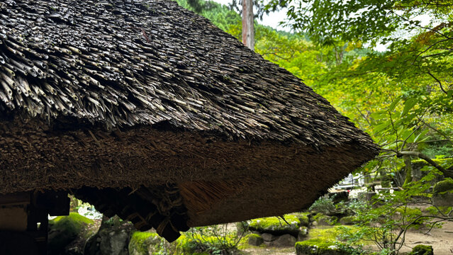 緑の木々を背景にした茅葺き屋根の曲線