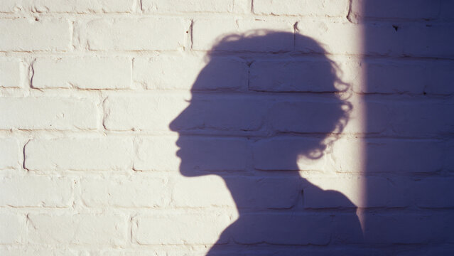 Silhouette Of Woman On A Wall