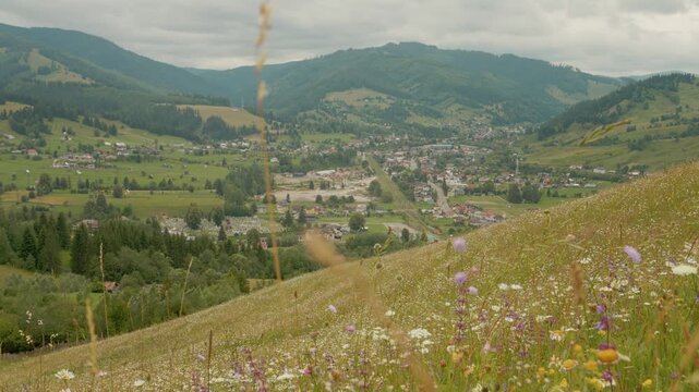 Look at a mountain village from a high place. The video shows fields of flowers and green hills. People live in the village below. It is summer.