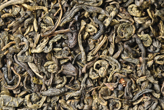 Dried green tea leaves as background