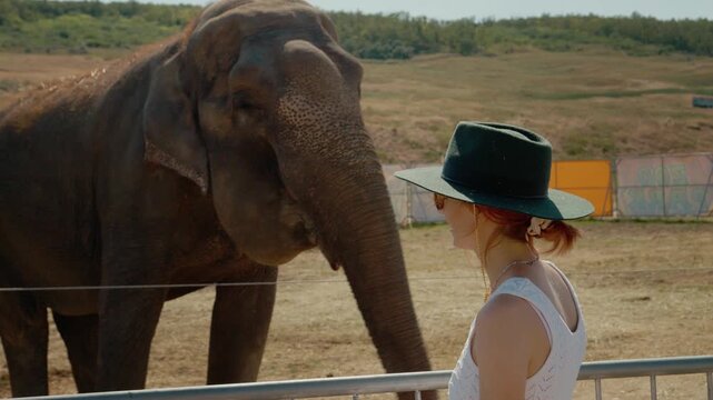 A woman stands at the zoo and looks at an elephant. The sun shines brightly as the animal moves around. People enjoy their time observing wildlife.