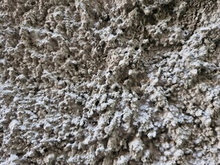 A close-up macro photograph showcasing the texture of a rough stucco or pebble dash wall surface. © Pandu