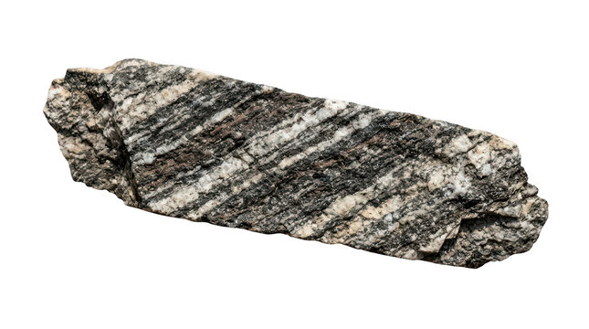 Isolated piece of metamorphic gneiss rock with white quartz veins transparent background