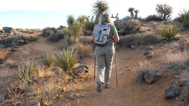 Female hiker walking with backpack and trekking poles along sandy trail through desert landscape with joshua trees and yucca plants during sunny day of exploration. Back view following hiker