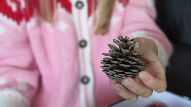Close-up video of a woman holding and examining a natural pine cone as a potential Christmas decoration