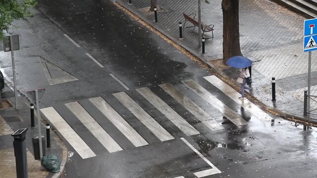 Mujer con paraguas azul cruzando la calle mojada por paso de peatones, charco, paso de cebra y lluvia con gotas de agua