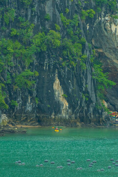 Tourists kayaking through an oyster pearl farm and lush green limestone mountain in Ha Long Bay, Vietnam