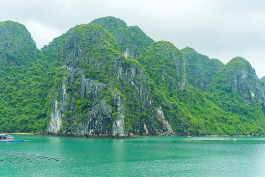 Tourists kayaking through an oyster pearl farm and lush green limestone mountain in Ha Long Bay, Vietnam