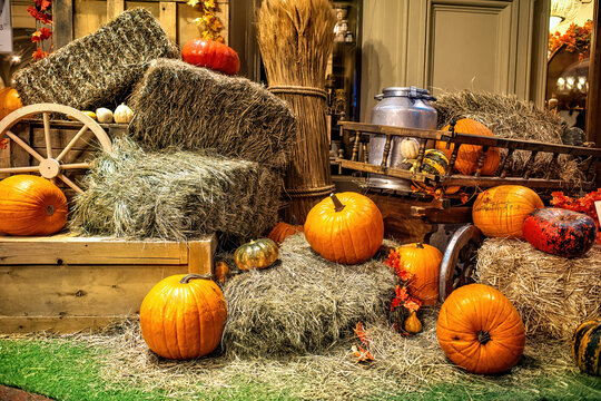 Traditional autumn photo spot, &lsquo;Harvest Festival&rsquo;, at the country&rsquo;s leading department store &mdash; GUM in Moscow.