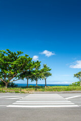 沖縄県大宜味村根路銘の風景 © kintomo