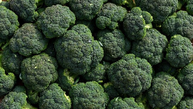 Full frame background texture of fresh organic green broccoli florets heads close up top view