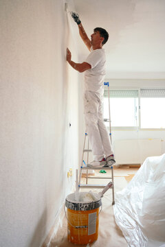 Professional painter renovating interior wall on ladder