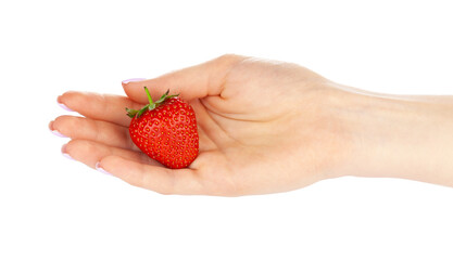 Hand holding a red strawberry showing farm fresh produce in a simple kitchen setting © fotofabrika