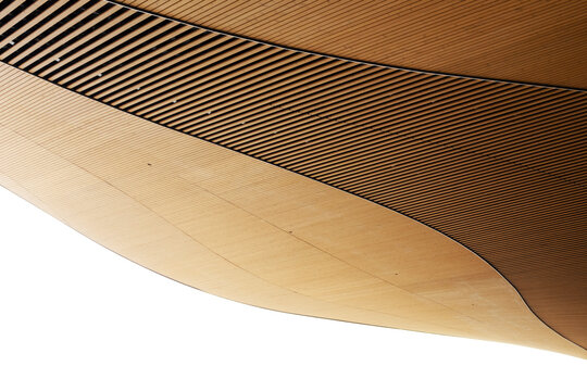 Curved wooden ceiling with wavy architectural pattern