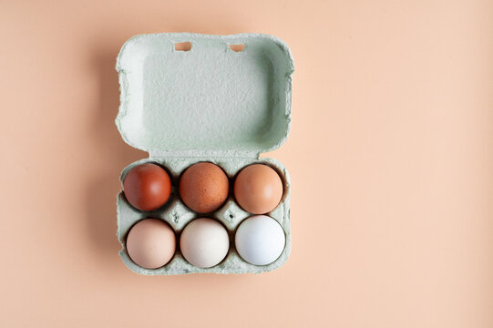 Organic natural eggs in recycled carton on pastel background
