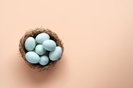 Organic natural eggs in nest on pastel background
