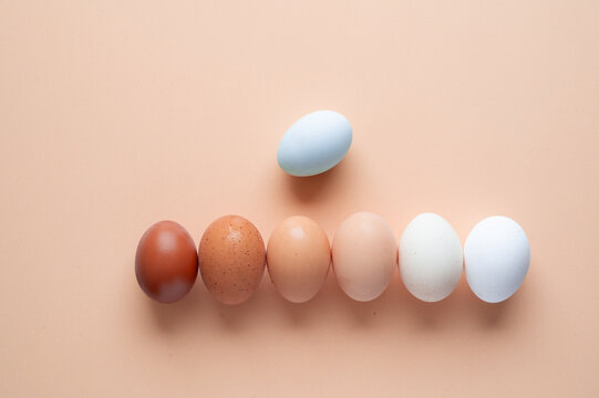 Assorted organic natural eggs arranged on pastel background