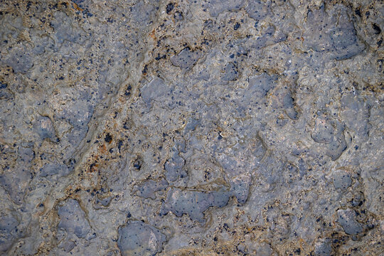 Close-up of weathered blue-gray stone featuring organic mineral patterns, rough texture, natural color variation, and detailed geological surfaces.