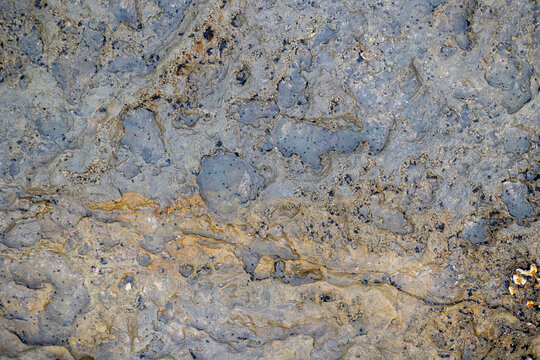 Close-up of weathered blue-gray stone featuring organic mineral patterns, rough texture, natural color variation, and detailed geological surfaces.