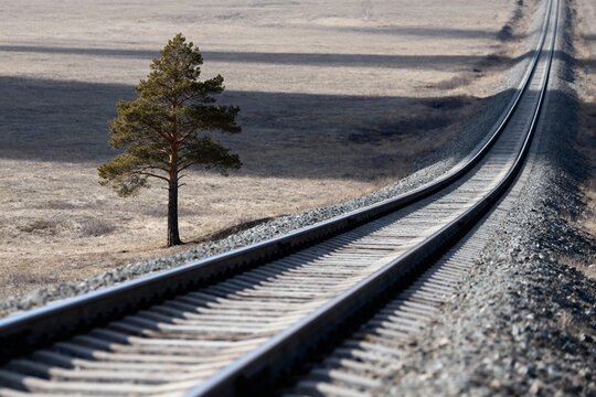 Railroad tracks stretching into the distance with a lone tree in a dry field