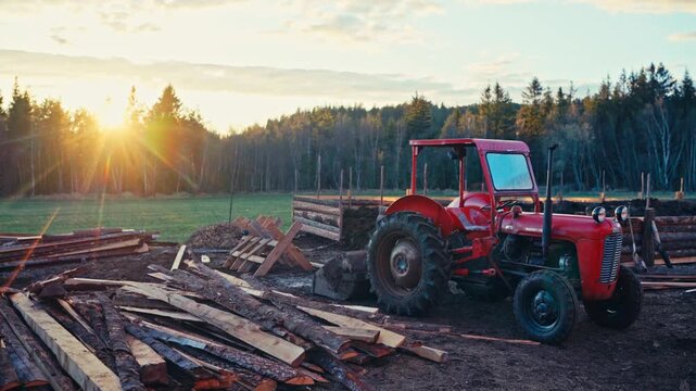 Vintage Red Tractor Parked Near A Stack Of Timber By A Forest Edge At Sunset. Handheld Shot