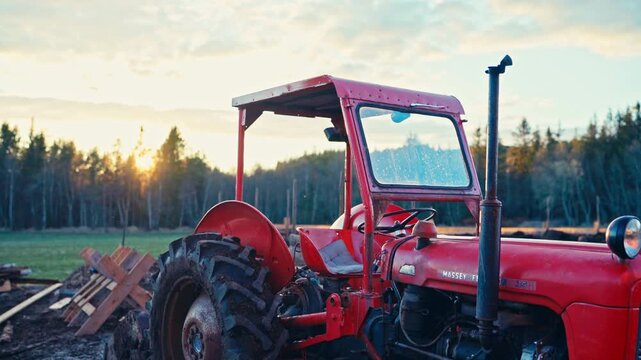 Red Massey Ferguson Utility Tractor Parked Near Forest Edge Background At Sunset. Static Shot