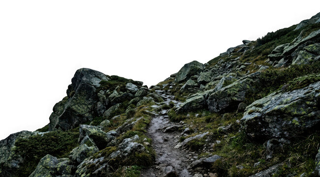 Rocky mountain hiking trail path through mossy stones and grass isolated on transparent background
