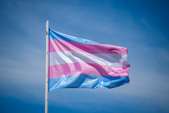 Transgender pride flag with pastel blue, pink and white stripes flies against a clear blue sky in Lisbon, Portugal as a symbol of LGBT equality