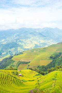 Breathtaking scenery of terraced rice fields. Picturesque rice terraces of Mu Cang Chai.