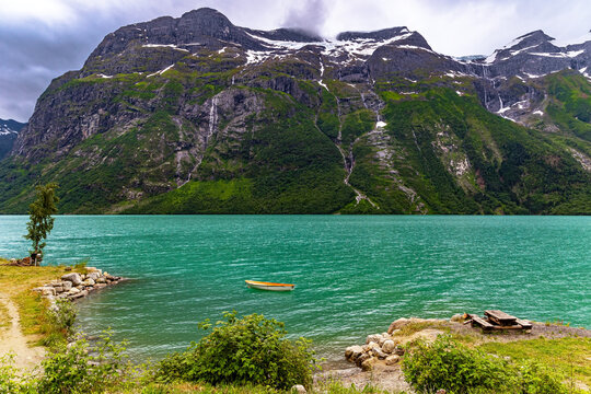 Glaciers and snowfields