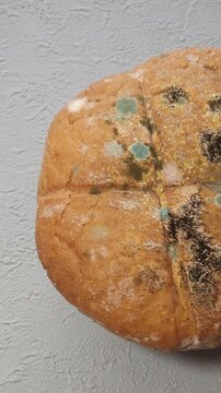 Close-up of moldy bread covered with visible green, white, and black mold growth. Concept of food contamination, spoilage, food safety, expired food, unhealthy food, and household food waste.