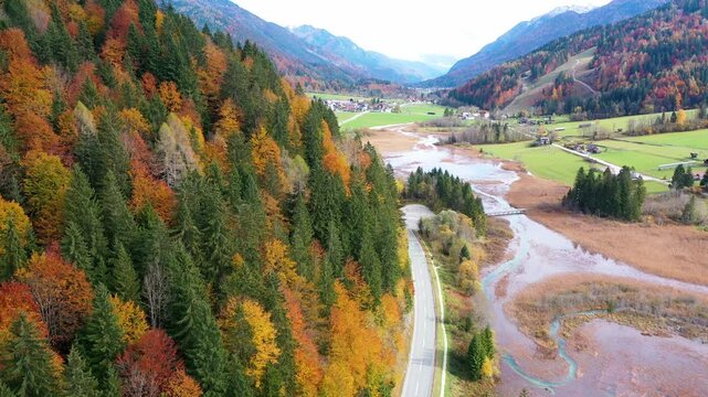 Colorful autumn forest and alpine valley in Slovenia