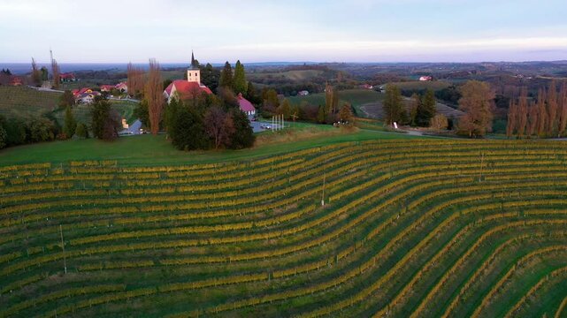 Autumn vineyard rows and village church in Slovenia