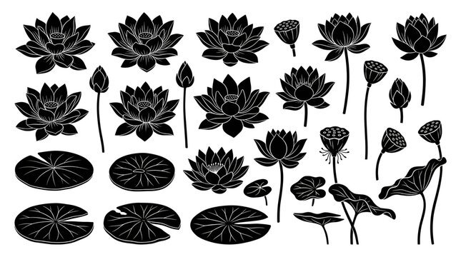 Flat Vector Set of Lotus Flower and Lily Pad Silhouettes Isolated on White Background