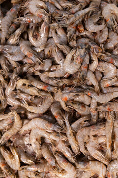 Fresh raw shrimp seafood background texture close-up