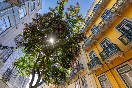Colorful historic streets of Alfama in Lisbon Portugal
