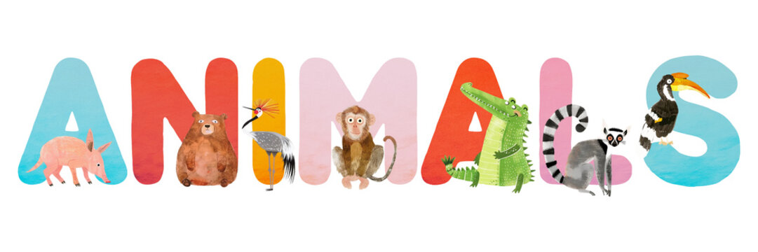 Animal word sticker png element, editable animal zoo font design